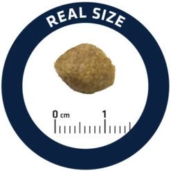 Affinity Advance Veterinary Diets Urinary Hund -Heimtierbedarf Seri affinity advance veterinary diets urinary hond 177694 0500 none