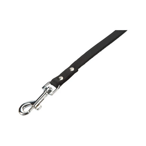 Beeztees Enjoy Hundeleine 5 Beeztees Enjoy Hundeleine – Bild 5