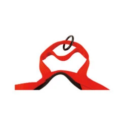 Beeztees Parinca Premium Comfort Hundegeschirr -Heimtierbedarf Seri beeztees parinca premium comfort hondentuig 198554 0500 none