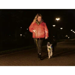 Beeztees Safety Gear Parinca Premium Halsband 15 Beeztees Safety Gear Parinca Premium Halsband -Heimtierbedarf Seri beeztees safety gear parinca premium halsband 215009 0500 none