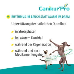 Canikur® Pro Diät-Ergänzungsfuttermittel Für Hunde 7 Canikur® Pro Diät-Ergänzungsfuttermittel Für Hunde -Heimtierbedarf Seri canikur pro 213692 0500 none