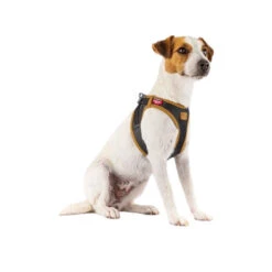 Curli Vegan Apple Leather Geschirr -Heimtierbedarf Seri curli harnas vegan appelleer 216631 0500 none