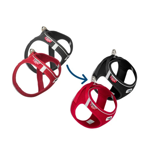 Curli Magnetic Vest Harness 1 Curli Magnetic Vest Harness