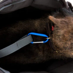 Doctor Bark Hundetragetasche -Heimtierbedarf Seri doctor bark honden draagtas 202157 0500 none