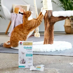 Doppelherz Gelenk Complex Für Katzen 12 Doppelherz Gelenk Complex Für Katzen -Heimtierbedarf Seri doppelherz gelenk complex fuer katzen 195053 0500 none