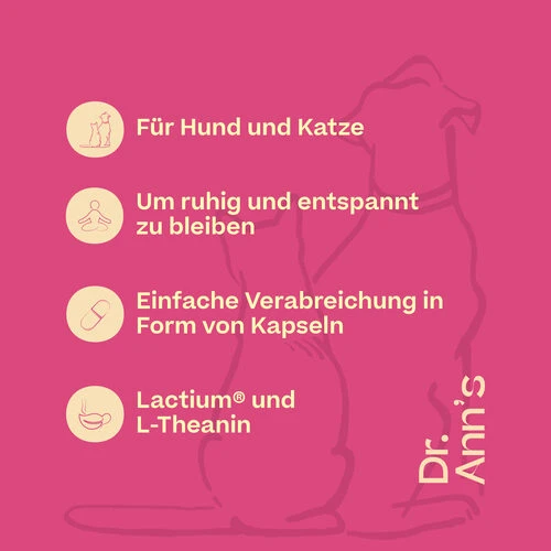 Dr. Ann's Stress Reduction 2 Dr. Ann's Stress Reduction – Bild 2
