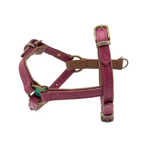 DWAM Hundegeschirr Lou Lou 2 DWAM Hundegeschirr Lou Lou – Bild 2