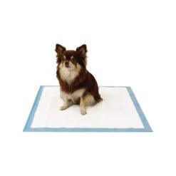 Easypets Trainingpads 7 Easypets Trainingpads -Heimtierbedarf Seri easypets trainingspads 184186 0500 none