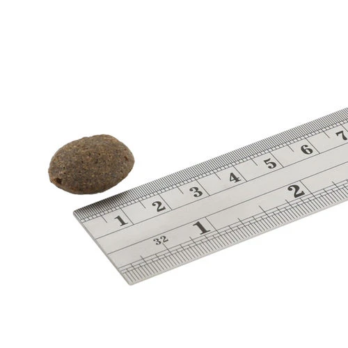 Fish4Dogs Finest Adult Complete - Lachs Große Brocken 2 Fish4Dogs Finest Adult Complete - Lachs Große Brocken – Bild 2