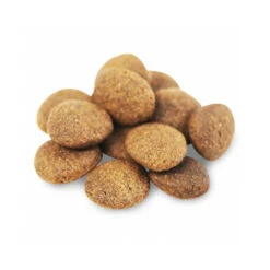 Fish4Dogs Finest Adult Complete - Lachs Große Brocken 5 Fish4Dogs Finest Adult Complete - Lachs Große Brocken -Heimtierbedarf Seri fish4dogs finest adult complete zalm grote brok 160943 0500 none