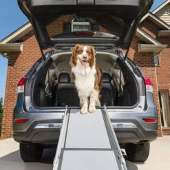 Happy Ride Telescoping Pet Ramp Deluxe 5 Happy Ride Telescoping Pet Ramp Deluxe -Heimtierbedarf Seri happy ride telescoping pet ramp deluxe 162499 0500 none