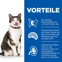 Hill's Science Plan - Feline Mature Adult - Light Chicken -Heimtierbedarf Seri hills science plan feline mature adult light chicken 218338 0500 none