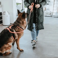 Hunter Sicherheitsgeschirr Maldon -Heimtierbedarf Seri hunter veiligheidsharnas maldon 221557 0500 none