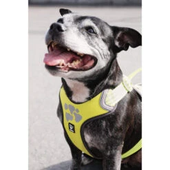 Hurtta Weekend Warrior Geschirr 28 Hurtta Weekend Warrior Geschirr -Heimtierbedarf Seri hurtta weekend warrior harness 189093 0500 none