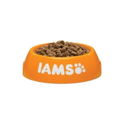 IAMS For Vitality Adult Cat Hairball 5 IAMS For Vitality Adult Cat Hairball -Heimtierbedarf Seri iams adult cat hairball 133766 0500 none
