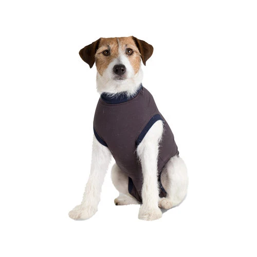 Jacketz Medical Body Suit Für Hunde 1 Jacketz Medical Body Suit Für Hunde