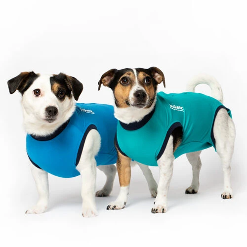 Jacketz Medical Body Suit Für Hunde 3 Jacketz Medical Body Suit Für Hunde – Bild 3