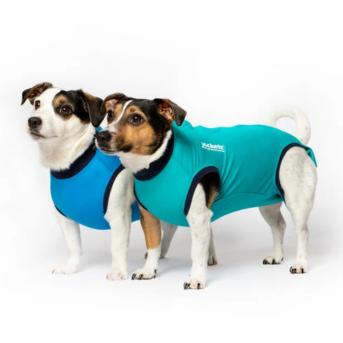 Jacketz Medical Body Suit Für Hunde 4 Jacketz Medical Body Suit Für Hunde – Bild 4