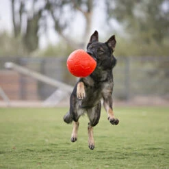 Jolly Soccer Ball 8 Jolly Soccer Ball -Heimtierbedarf Seri jolly soccer ball 162241 0500 none