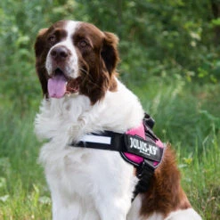 Julius K9 IDC Powergeschirr -Heimtierbedarf Seri julius k9 idc powertuig 192695 0500 none