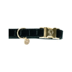 Kentucky Dogwear Corduroy Hundehalsband 14 Kentucky Dogwear Corduroy Hundehalsband -Heimtierbedarf Seri kentucky dogwear corduroy hondenhalsband 219195 0500 none