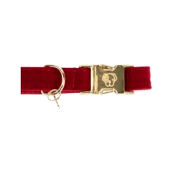 Kentucky Dogwear Corduroy Hundehalsband 13 Kentucky Dogwear Corduroy Hundehalsband -Heimtierbedarf Seri kentucky dogwear corduroy hondenhalsband 219199 0500 none