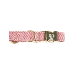 Kentucky Dogwear Hundehalsband Wool 28 Kentucky Dogwear Hundehalsband Wool -Heimtierbedarf Seri kentucky dogwear hondenhalsband wool 219709 0500 none