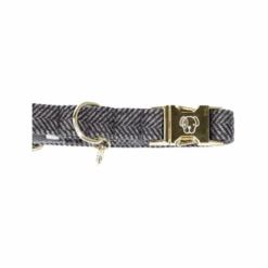 Kentucky Dogwear Hundehalsband Wool 24 Kentucky Dogwear Hundehalsband Wool -Heimtierbedarf Seri kentucky dogwear hondenhalsband wool 219713 0500 none