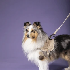 Kentucky Dogwear Hundeleine Wool 16 Kentucky Dogwear Hundeleine Wool -Heimtierbedarf Seri kentucky dogwear hondenlijn wool 219684 0500 none