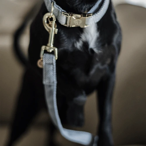 Kentucky Dogwear Hundeleine Wool 6 Kentucky Dogwear Hundeleine Wool – Bild 6