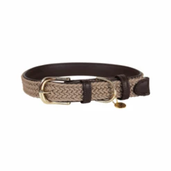 Kentucky Dogwear Nylon Hundehalsband -Heimtierbedarf Seri kentucky dogwear nylon hondenhalsband 219176 0500 none