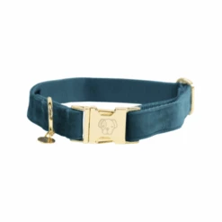 Kentucky Dogwear Velvet Hundehalsband 21 Kentucky Dogwear Velvet Hundehalsband -Heimtierbedarf Seri kentucky dogwear velvet hondenhalsband 219231 0500 none