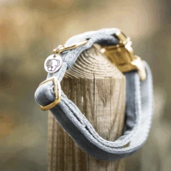 Kentucky Dogwear Velvet Hundehalsband 23 Kentucky Dogwear Velvet Hundehalsband -Heimtierbedarf Seri kentucky dogwear velvet hondenhalsband 219236 0500 none