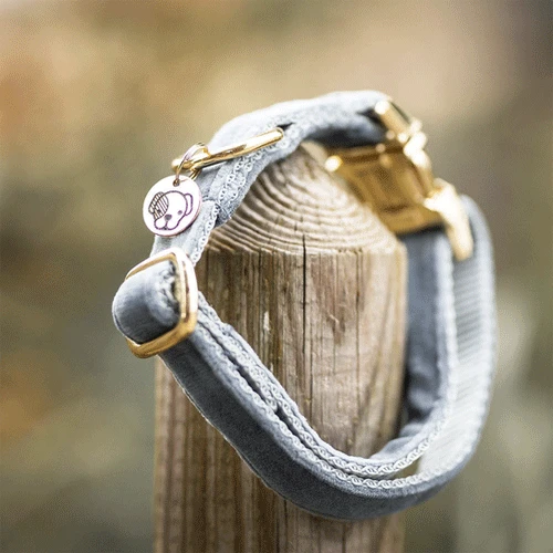 Kentucky Dogwear Velvet Hundehalsband 12 Kentucky Dogwear Velvet Hundehalsband – Bild 12