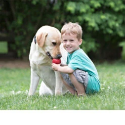 KONG Classic 15 KONG Classic -Heimtierbedarf Seri kong classic 98642 0500 none