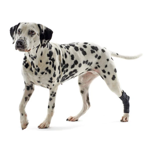 Kruuse Rehab Fersenschutz 1 Kruuse Rehab Fersenschutz