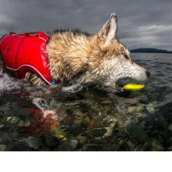 Kurgo Skipping Stones -Heimtierbedarf Seri kurgo skipping stones 99608 0500 none