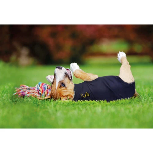 Medical Pet Shirt Hund 6 Medical Pet Shirt Hund – Bild 6