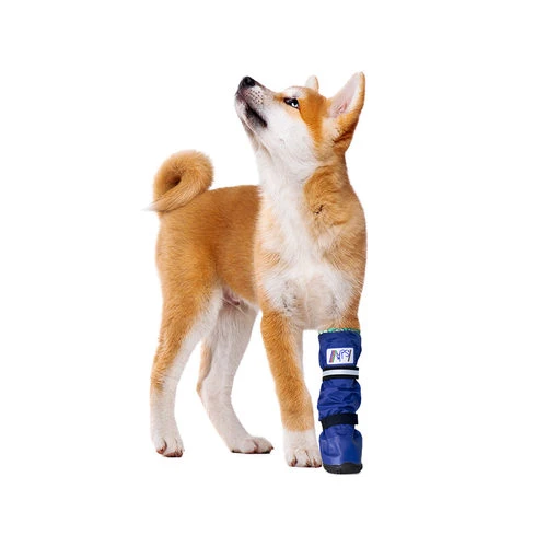 Medical Pet Shirt Boot 1 Medical Pet Shirt Boot