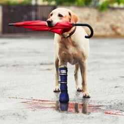 Medical Pet Shirt Boot 17 Medical Pet Shirt Boot -Heimtierbedarf Seri medical pets boot 167512 0500 none