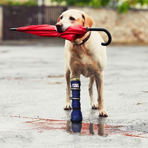 Medical Pet Shirt Boot 9 Medical Pet Shirt Boot – Bild 9