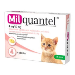 Milquantel Katze -Heimtierbedarf Seri milquantel kat 112619 0500 none