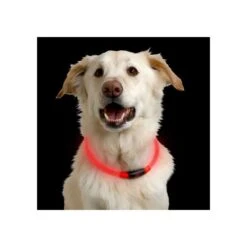 Nite Ize NiteHowl LED Safety Necklace -Heimtierbedarf Seri nite ize nitehowl led safety necklace 89526 0500 none