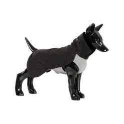 PAIKKA Recovery Winter Shirt 12 PAIKKA Recovery Winter Shirt -Heimtierbedarf Seri paikka recovery winter shirt 217789 0500 none