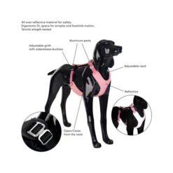 PAIKKA Visibility Harness -Heimtierbedarf Seri paikka visibility harness 217810 0500 none