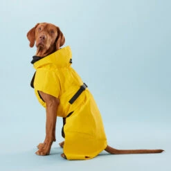 PAIKKA Visibility Raincoat Lite Yellow 8 PAIKKA Visibility Raincoat Lite Yellow -Heimtierbedarf Seri paikka visibility raincoat lite yellow 217726 0500 none