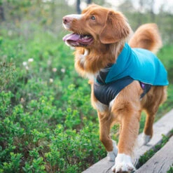 Pomppa Jumppa 13 Pomppa Jumppa -Heimtierbedarf Seri pomppa jumppa 190573 0500 none