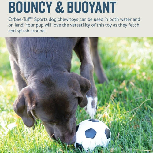 Planet Dog Orbee-Tuff Soccer Ball 6 Planet Dog Orbee-Tuff Soccer Ball – Bild 6