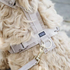 Kentucky Dog Harness Active Velvet -Heimtierbedarf Seri prod 15744 218987 0500 none