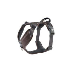 DOG Copenhagen Comfort Walk Pro Geschirr -Heimtierbedarf Seri prod 15938 220292 0500 none